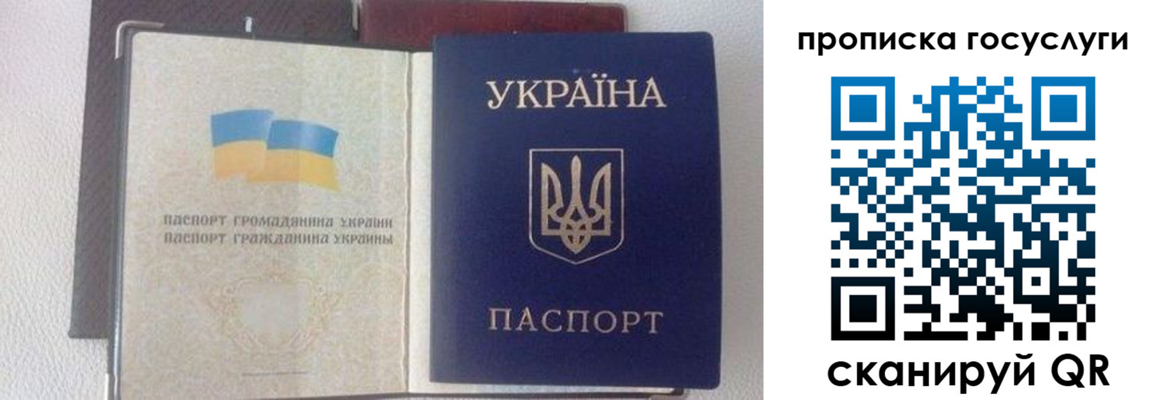 временная регистрация недорого в Лосино-Петровском